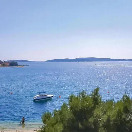 Apartament In Brodarica Near Gaj *