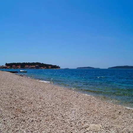 Apartament In Brodarica Near Gaj *