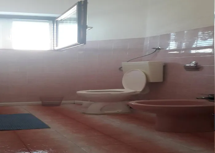 In Brodarica Near Gaj Daire