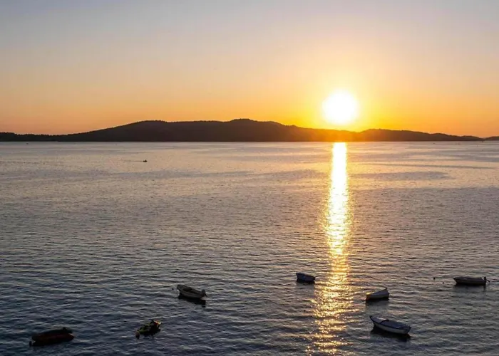 In Brodarica Near Gaj Daire