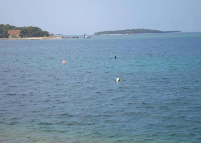 In Brodarica Near Gaj Razine