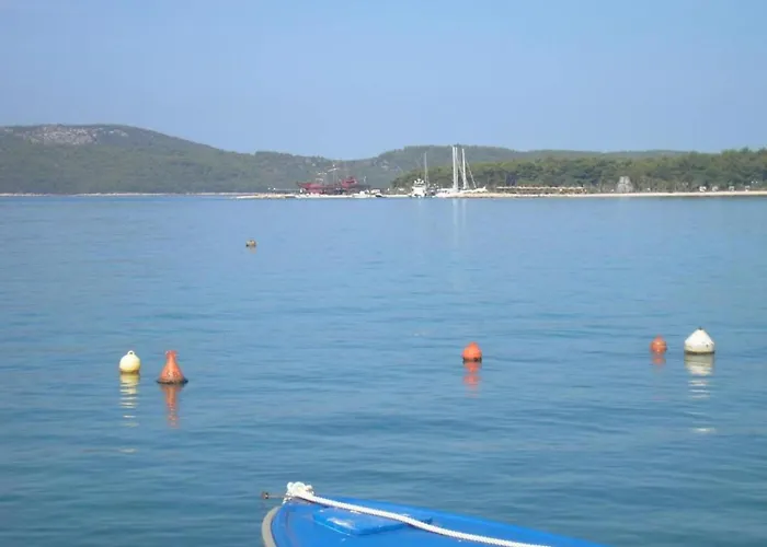 In Brodarica Near Gaj Razine